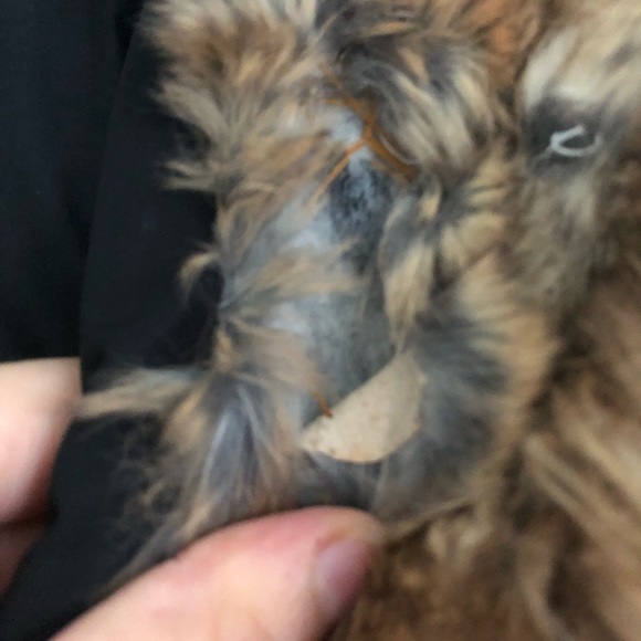 Mackage winter coat - Picture 3 of 12